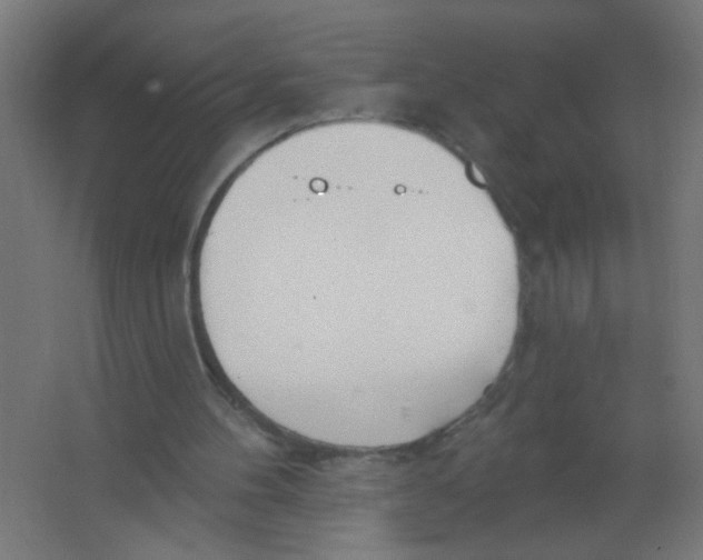 X0000067330100200604211920