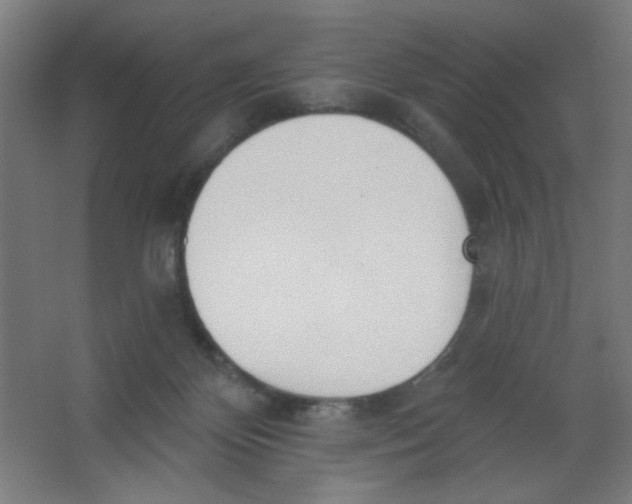 X0000067330124200604211919