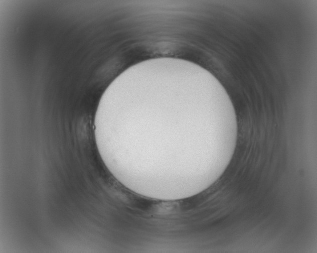 X0000067330126200604211919