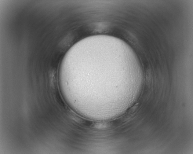 X0000067330127200604211919