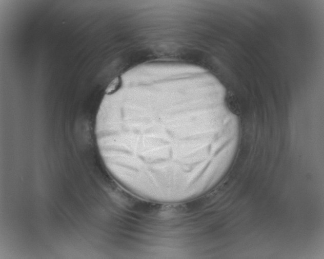 X0000067330130200604211919