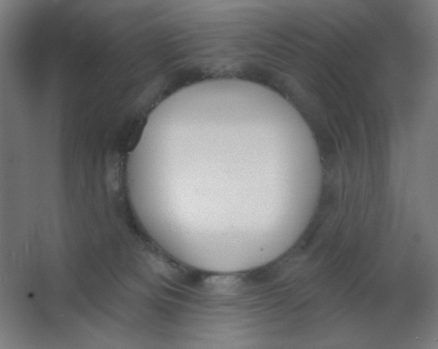 X0000067330133200604211919