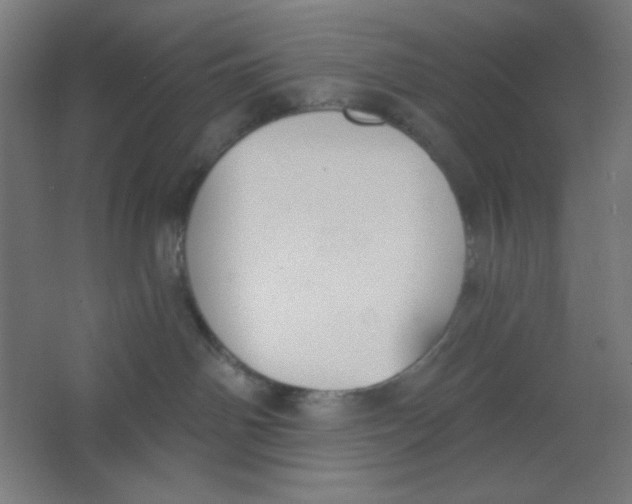 X0000067330142200604211919
