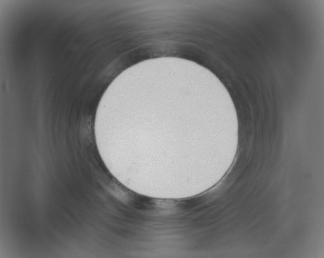 X0000067330144200604211919