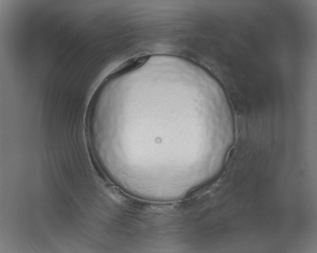 X0000067330147200604211918