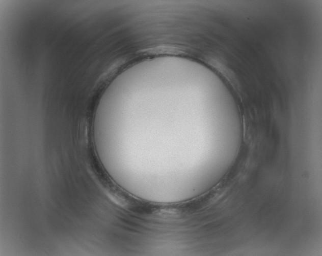 X0000067330157200604211919