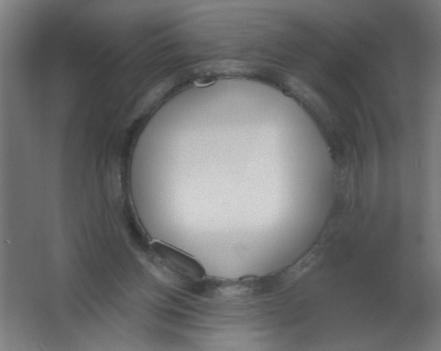 X0000067330158200604211919