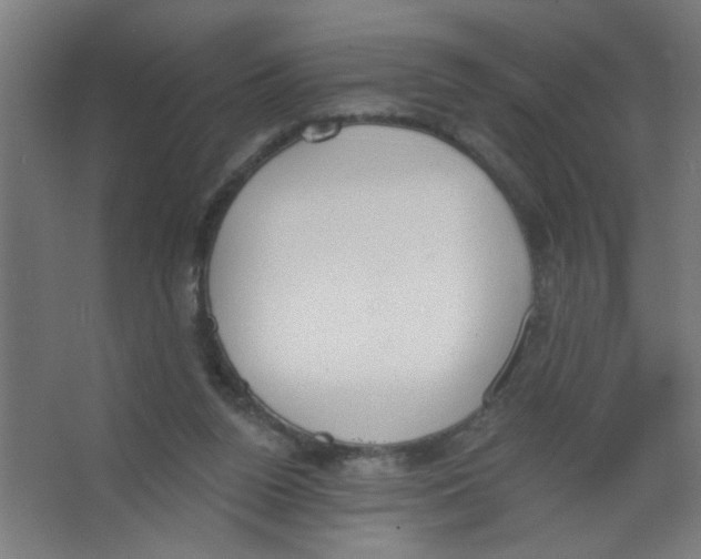 X0000067330160200604211919