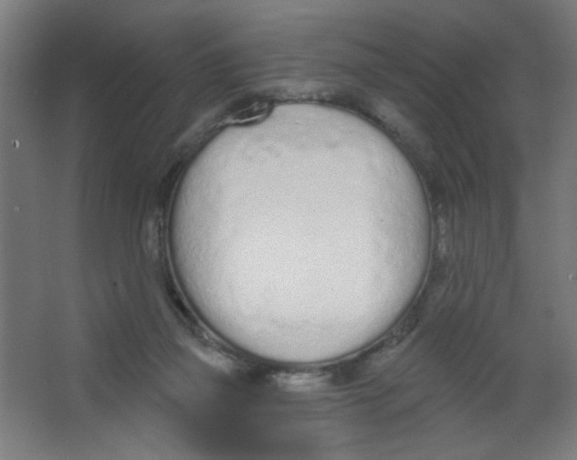 X0000067330165200604211919
