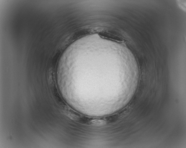 X0000067330169200604211919