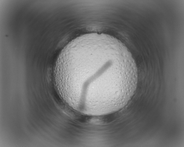 X0000067330171200604211919