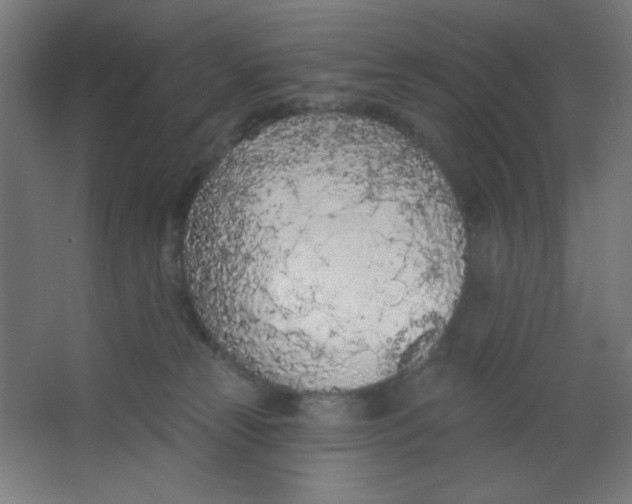 X0000067330181200604211919