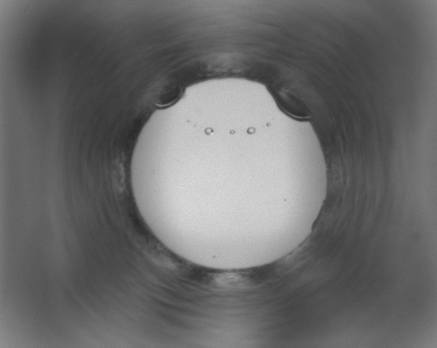 X0000067330183200604211919