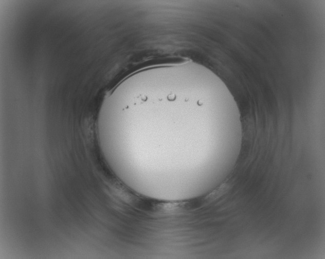 X0000067330184200604211919