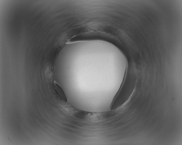 X0000067330186200604211919