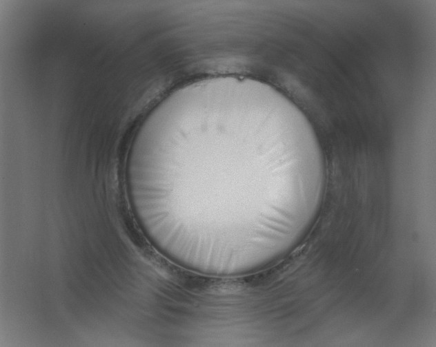 X0000067330202200604211918