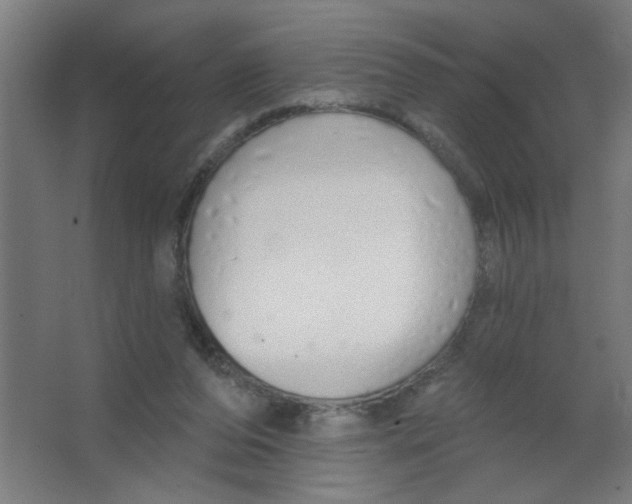 X0000067330208200604211918