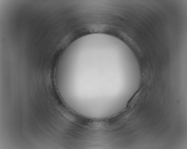 X0000067330209200604211918