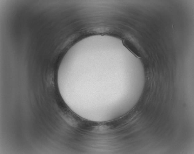 X0000067330212200604211918