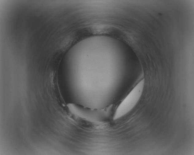 X0000067330219200604211918