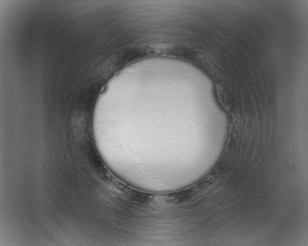 X0000067330222200604211918