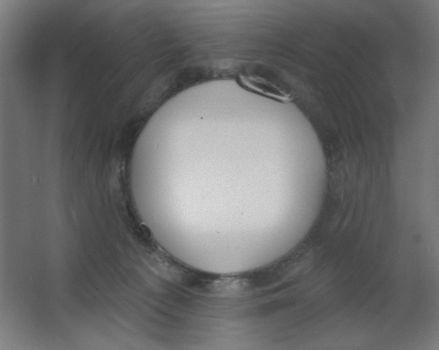 X0000067330225200604211918