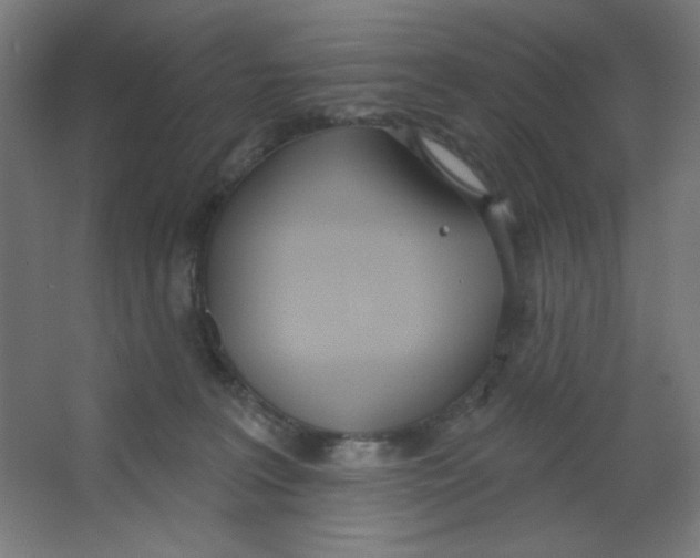 X0000067330227200604211918
