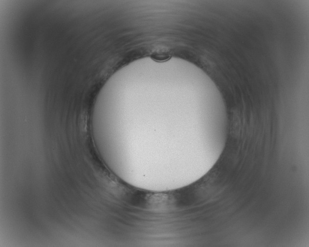 X0000067330230200604211918