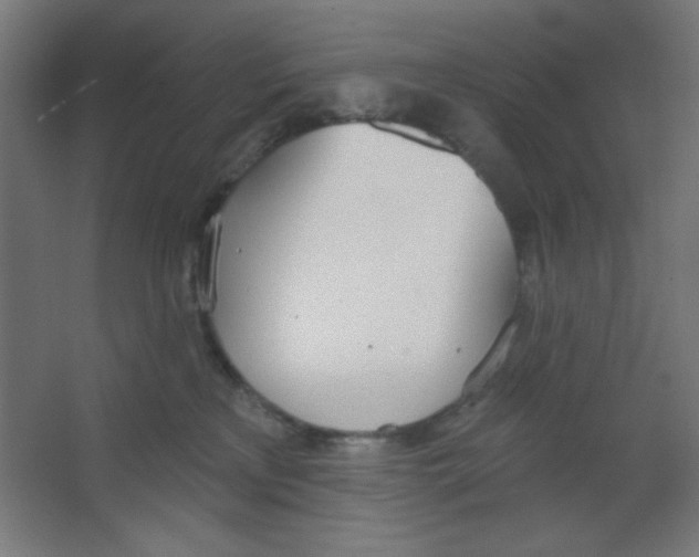 X0000067330233200604211918