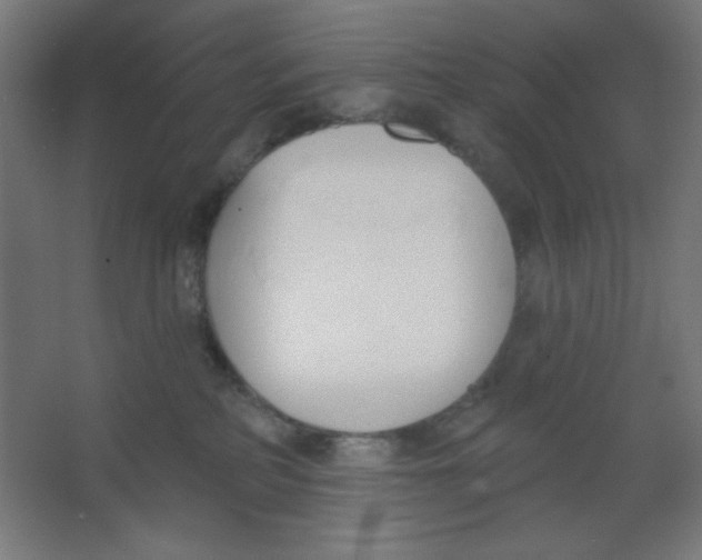 X0000067330234200604211918