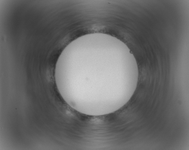 X0000067330236200604211918