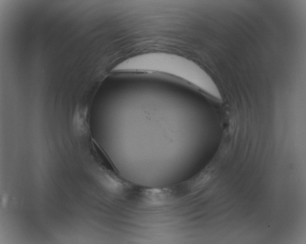 X0000067330239200604211917