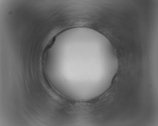 X0000067330242200604211917