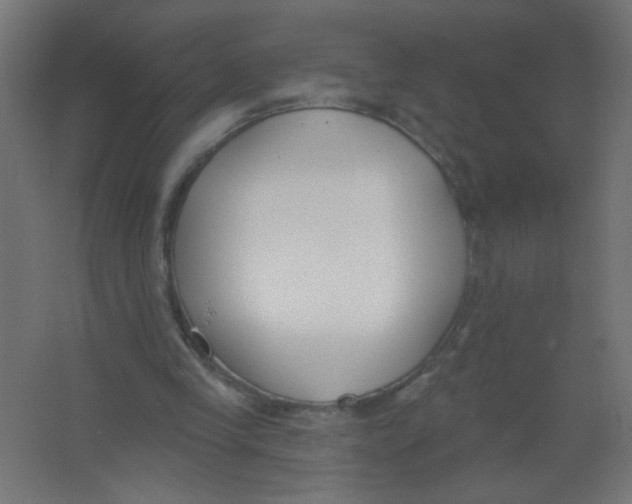 X0000067330245200604211917