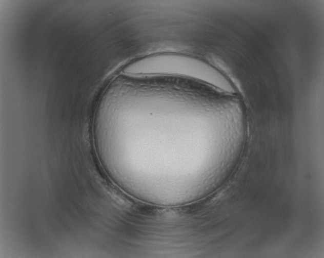 X0000067330249200604211917