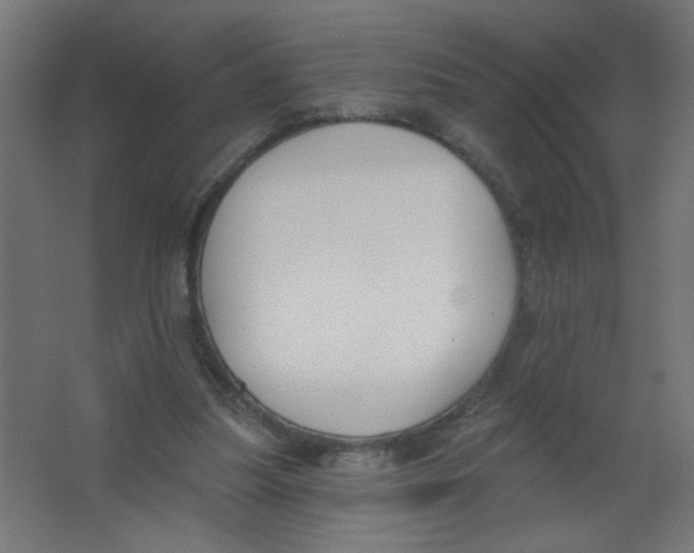 X0000067330251200604211917