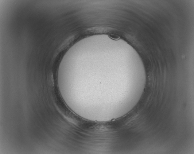 X0000067330254200604211917