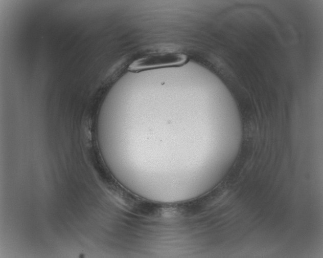 X0000067330264200604211917