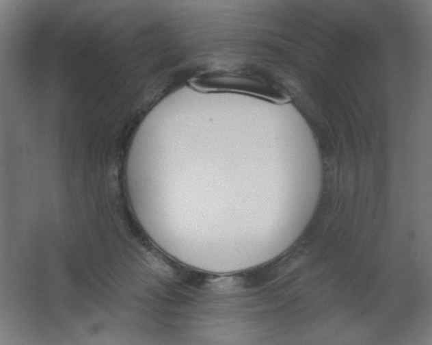 X0000067330269200604211917