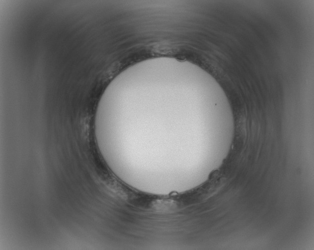 X0000067330271200604211917
