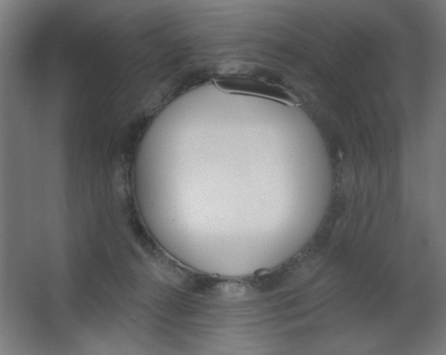 X0000067330272200604211917