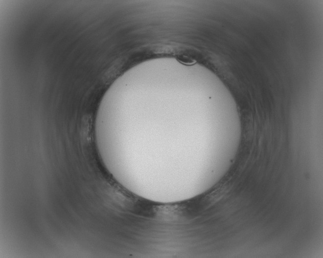 X0000067330273200604211917