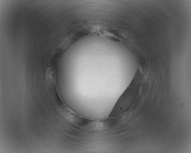 X0000067330276200604211917