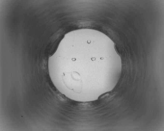 X0000067330281200604211917