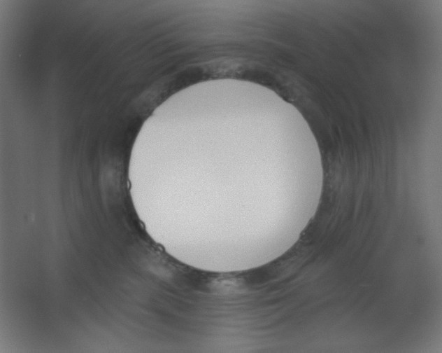 X0000067330283200604211917
