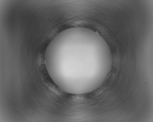 X0000067330284200604211917