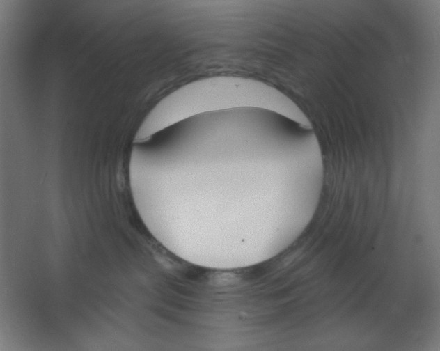 X0000067330287200604211917