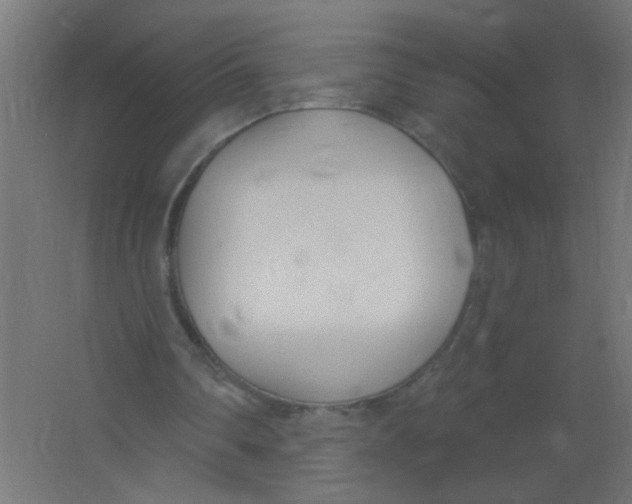 X0000067330290200604211917