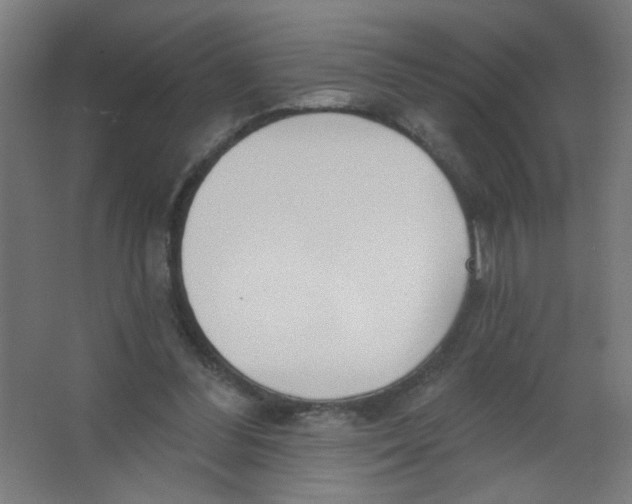 X0000067330300200604211916