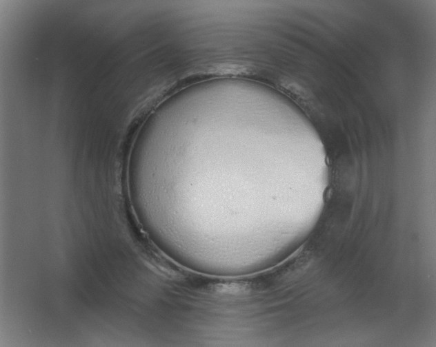 X0000067330303200604211916